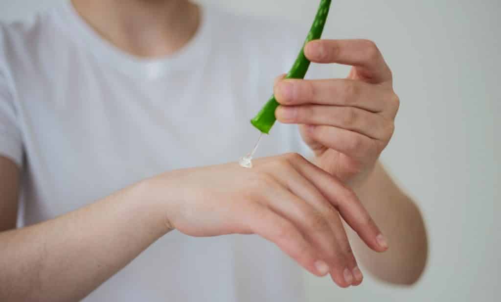 Uma pessoa passando o gel extraído da aloé vera em seu braço.