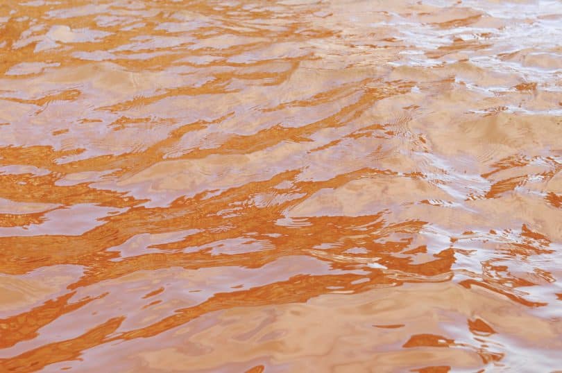 Água poluída com uma cor amarronzada.