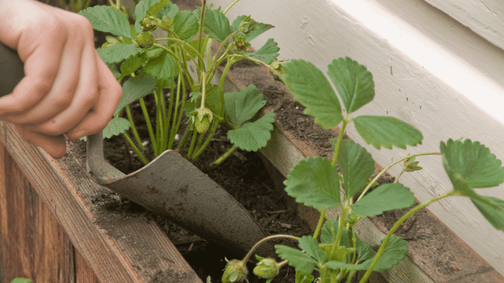 Criança plantando em jardim