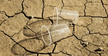 Dois copos de plástico sobre terra ressecada