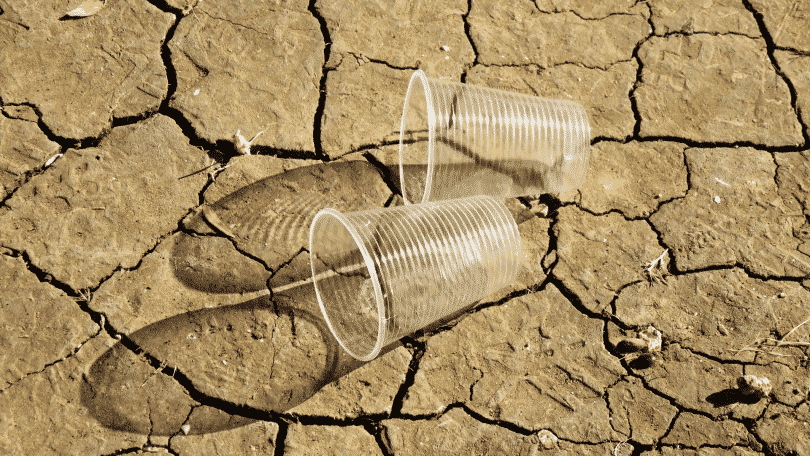 Dois copos de plástico sobre terra ressecada