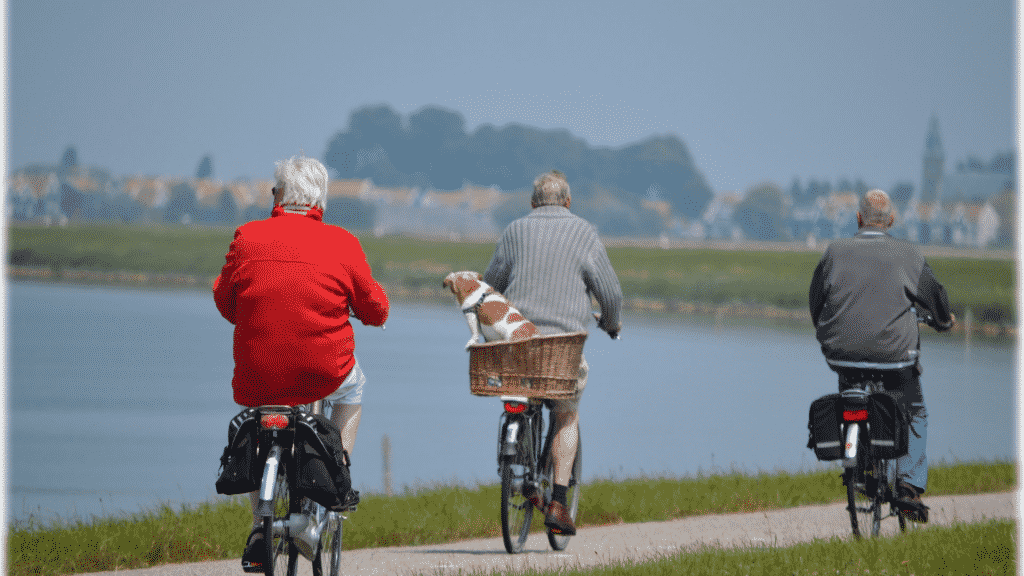Homens idosos andando de bicicleta na beira de um rio