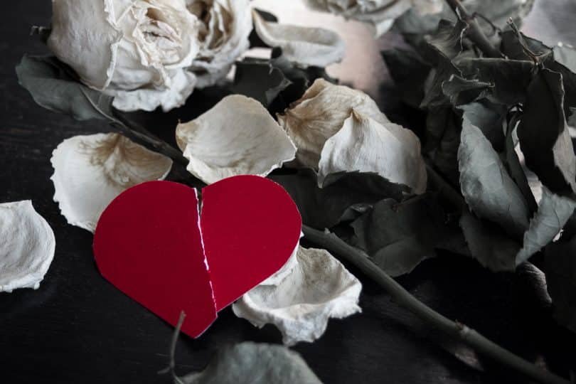 Um coração vermelho de papel rasgado no meio. No fundo, flores brancas.