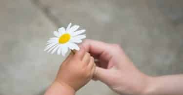 Mulher branca dando flor para criança.