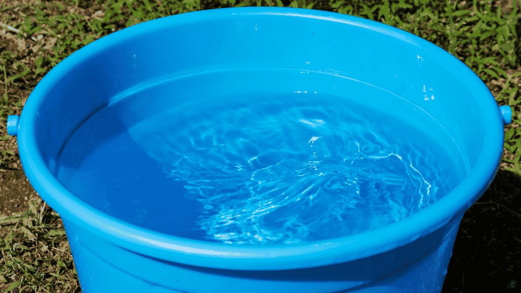 Um balde azul repleto de água.