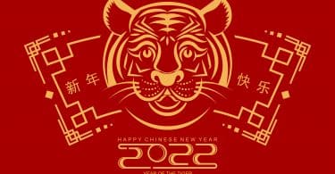 Uma ilustração do ano novo chinês 2022 - do tigre.