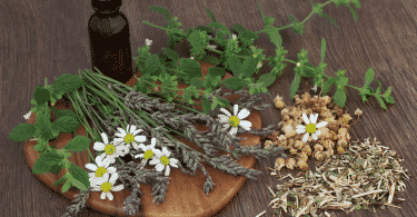Diversas ervas medicinais sobre uma mesa de madeira