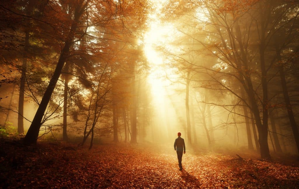 Homem caminhando para os brilhantes raios de luz dourados na floresta de outono.