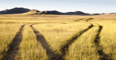 Dois caminhos no meio de um campo gramado