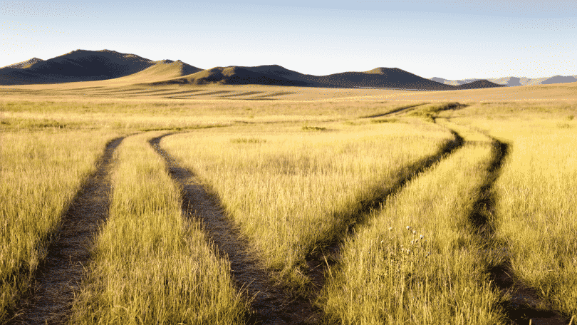 Dois caminhos no meio de um campo gramado