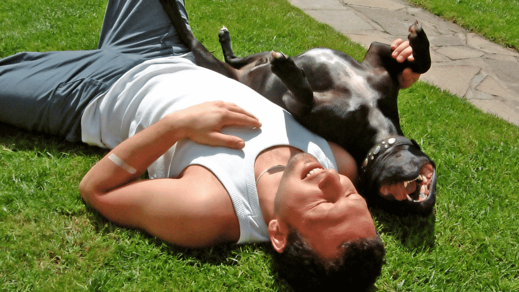 Homem deitado em um gramado ao lado de seu cachorro. Os dois estão tomando sol