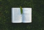 Livro aberto em um gramado