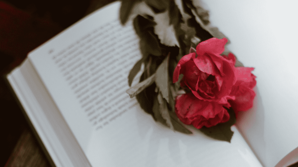 Livro aberto com uma rosa em cima da página
