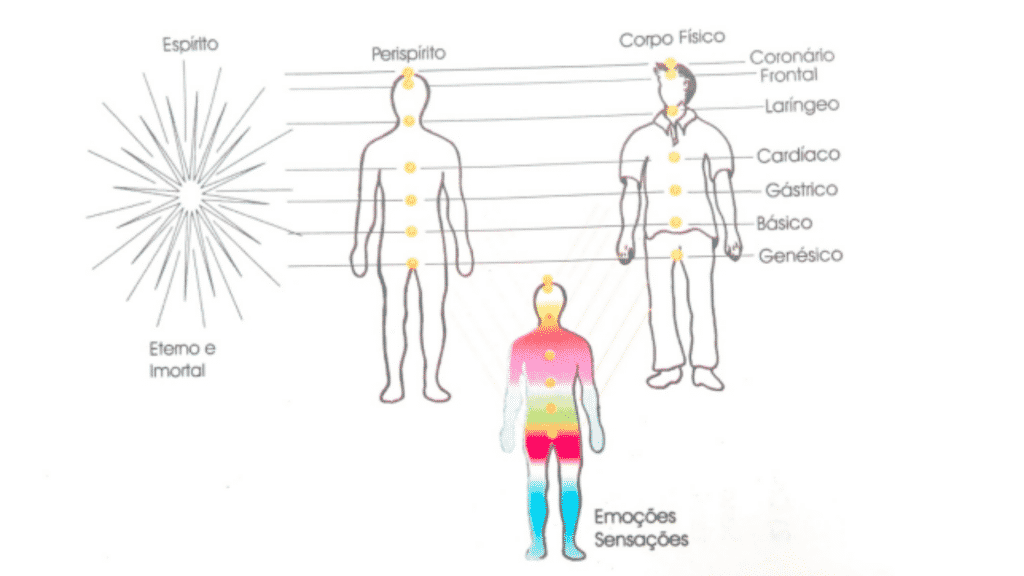 Imagem demonstrando onde e como a cromoterapia funciona no nosso corpo