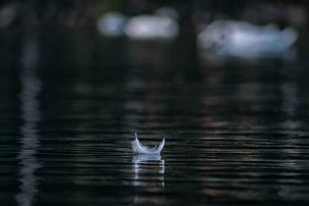 Pena branca num rio.