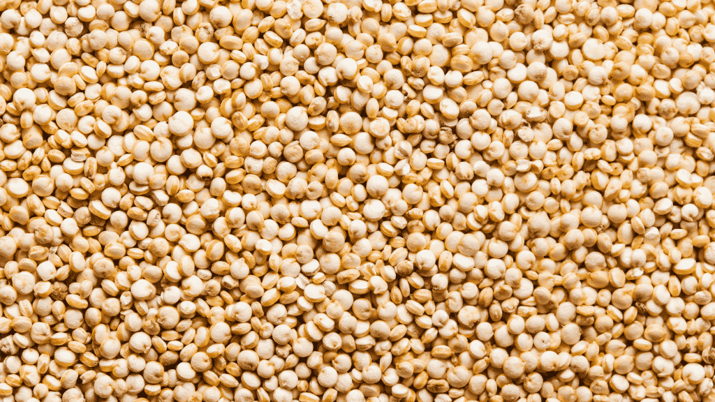 Sementes de quinoa.