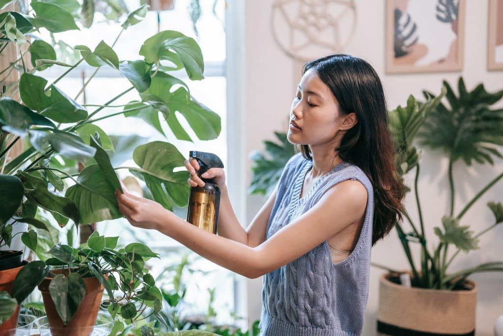 Mulher regando plantas em casa