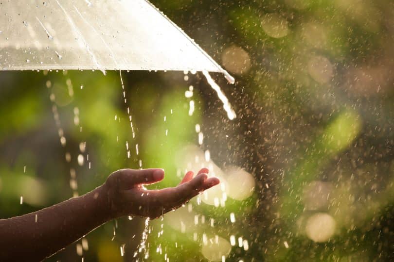 Uma mão feminina estendida. Ao fundo, chuva.