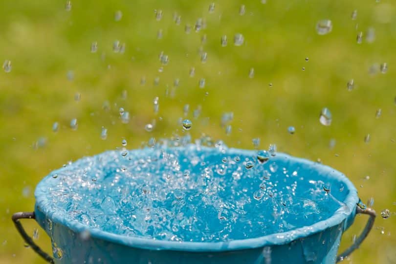 Chuva caindo num balde d'água.