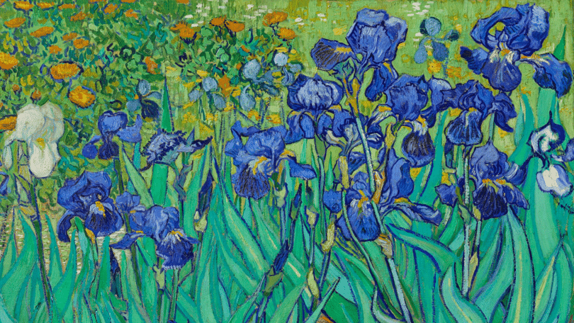 Uma repintura de 'Os Lírios' de Van Gogh.