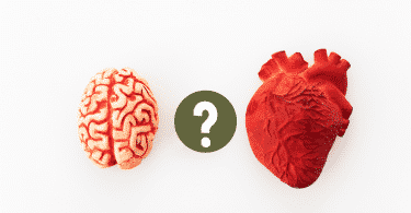 Miniaturas, respectivamente, de um coração e de um cérebro postas em lados distintos. No meio destes, uma ilustração de um sinal de interrogação.