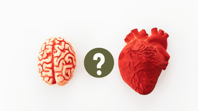 Miniaturas, respectivamente, de um coração e de um cérebro postas em lados distintos. No meio destes, uma ilustração de um sinal de interrogação.