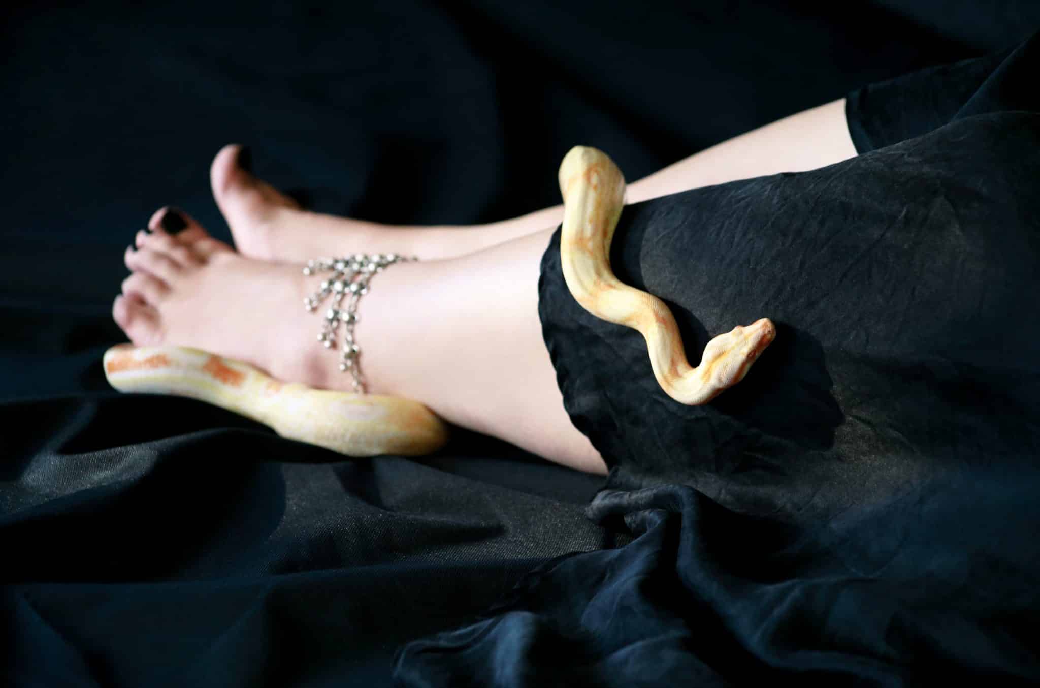 Змеи под ногами. Женская нога и змея. Длинные ноги со змеями.
