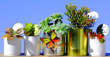 Latas sendo usadas como vasos de planta