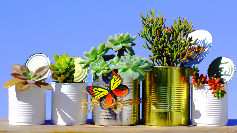 Latas sendo usadas como vasos de planta