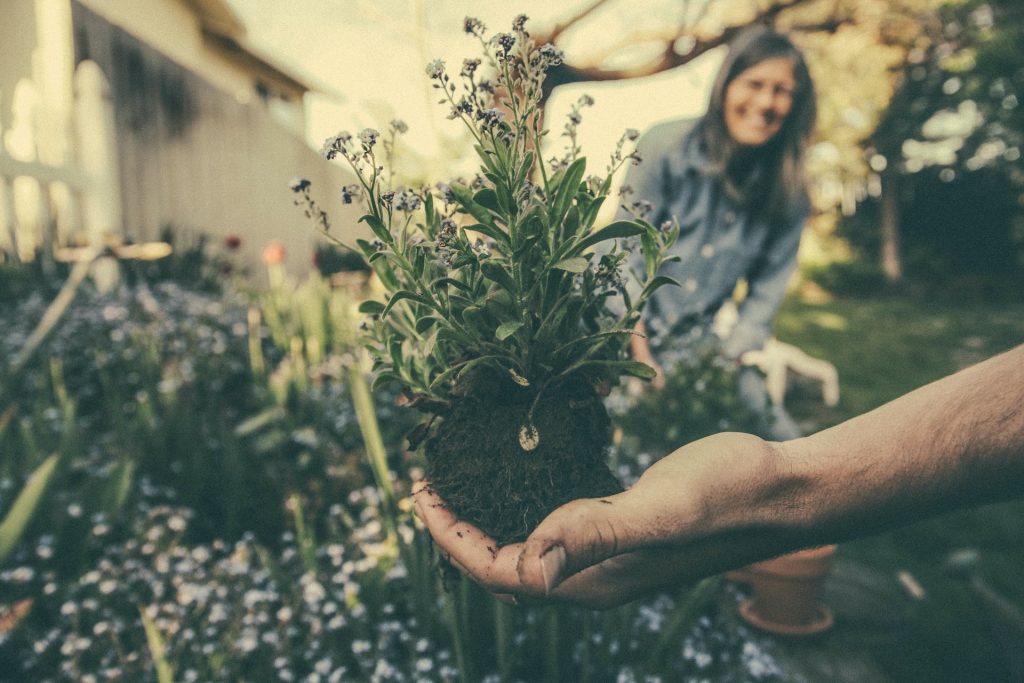 Homem segurando muda de uma planta com flores pequenas e branquinhas. Ao fundo há uma mulher sorrindo.