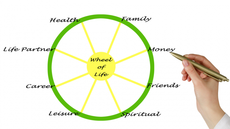 Uma ilustração da referida roda da vida.