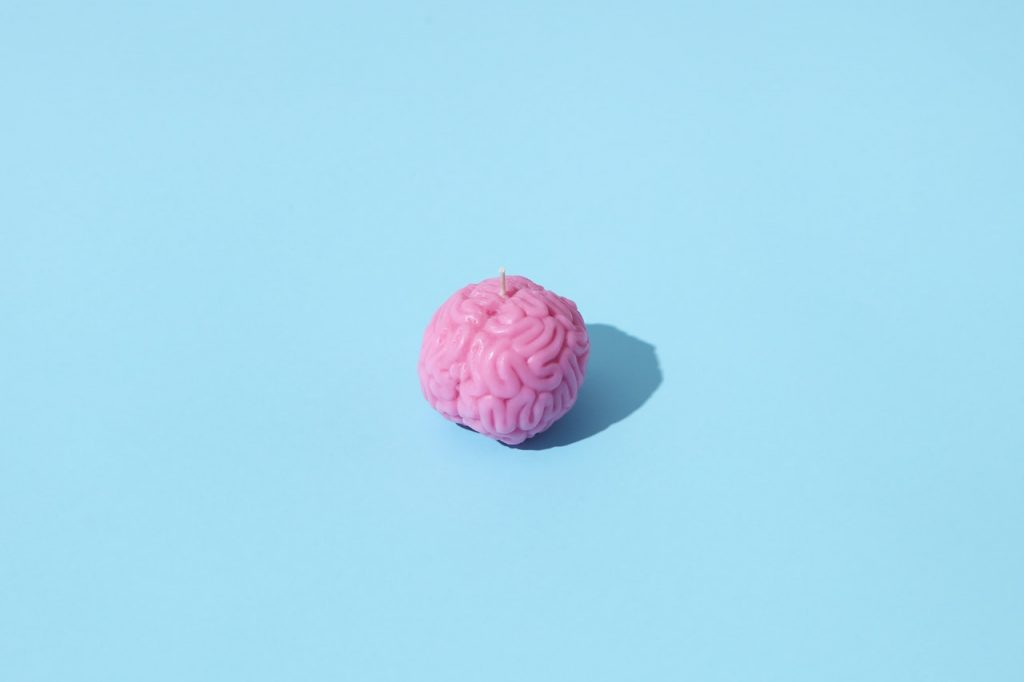 Pequeno cérebro em fundo azul.