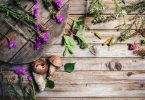 Mesa com plantas, cogumelos e flores.