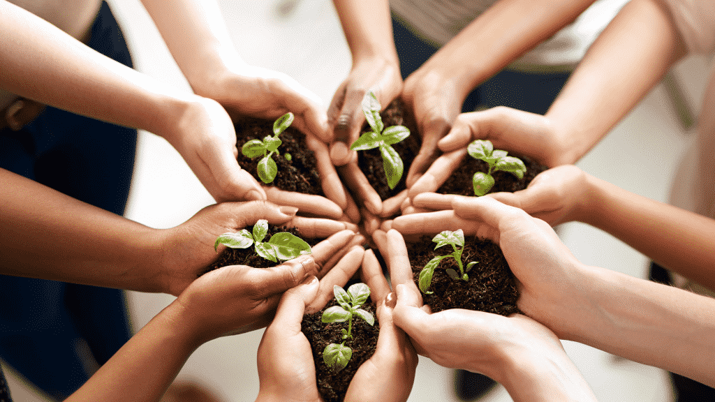 Várias pessoas segurando com suas mãos terra com pequenas mudas de plantas simbolizando a prosperidade de um novo ciclo