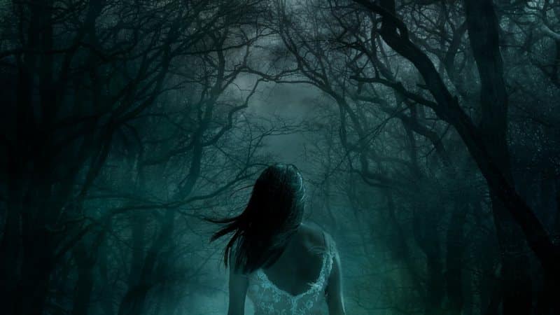 Uma ilustração de uma mulher vista de costas. Ela tem cabelos longos pretos e está numa floresta sombria.