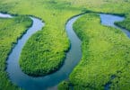 Uma fotografia panorâmica e expandida da Amazônia.