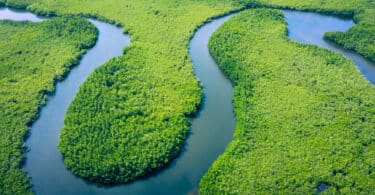 Uma fotografia panorâmica e expandida da Amazônia.