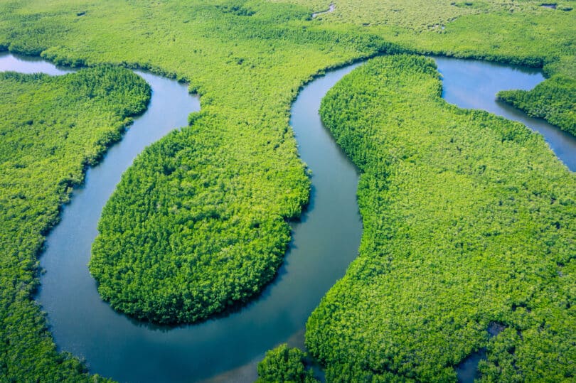 Uma fotografia panorâmica e expandida da Amazônia.