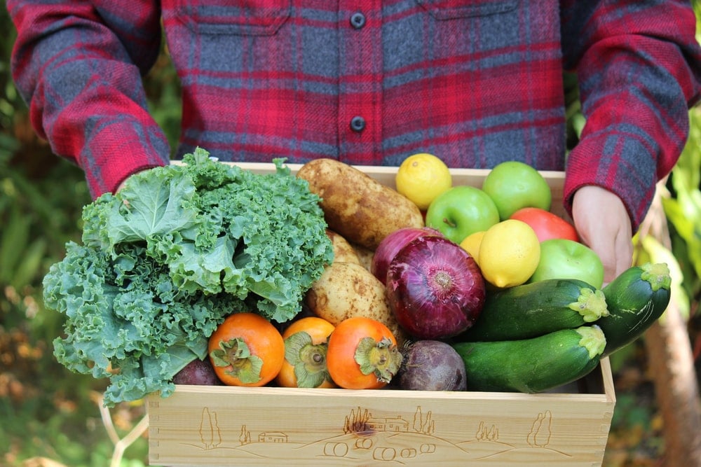 Uma pessoa segurando um caixote repleto de legumes e vegetais.
