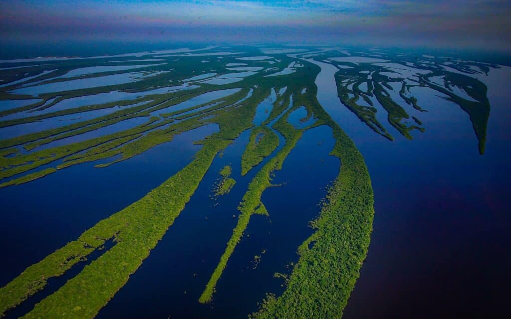 Uma parte da reserva aquífera da floresta amazônica.