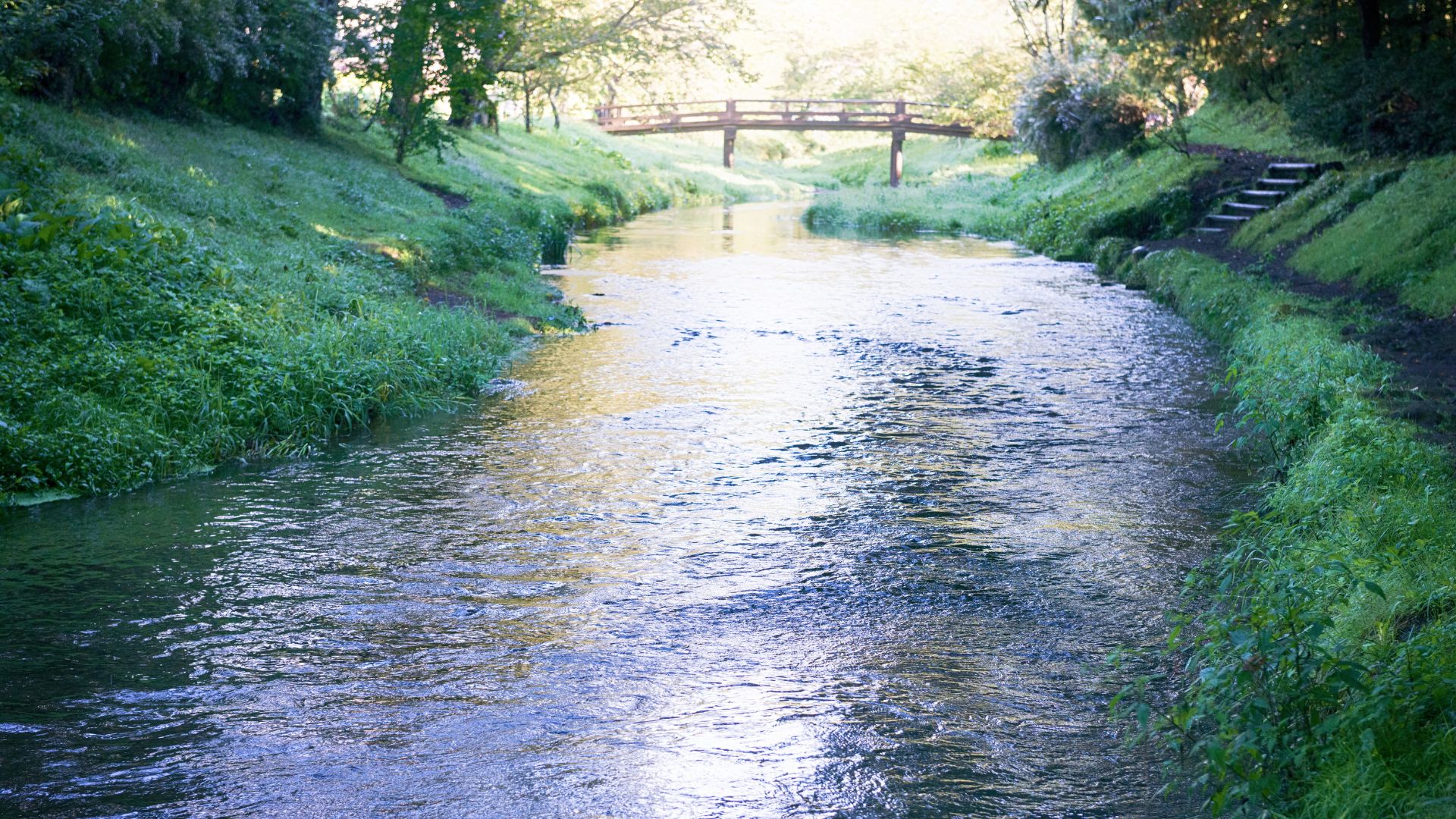 Um pequeno rio repleto de água limpa. Às margens, gramados densos.