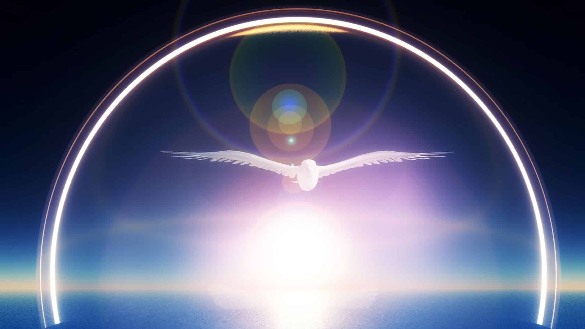 Um ave branca voando num grande céu. A ave branca é, no cristianismo, um dos símbolos do Espírito Santo.