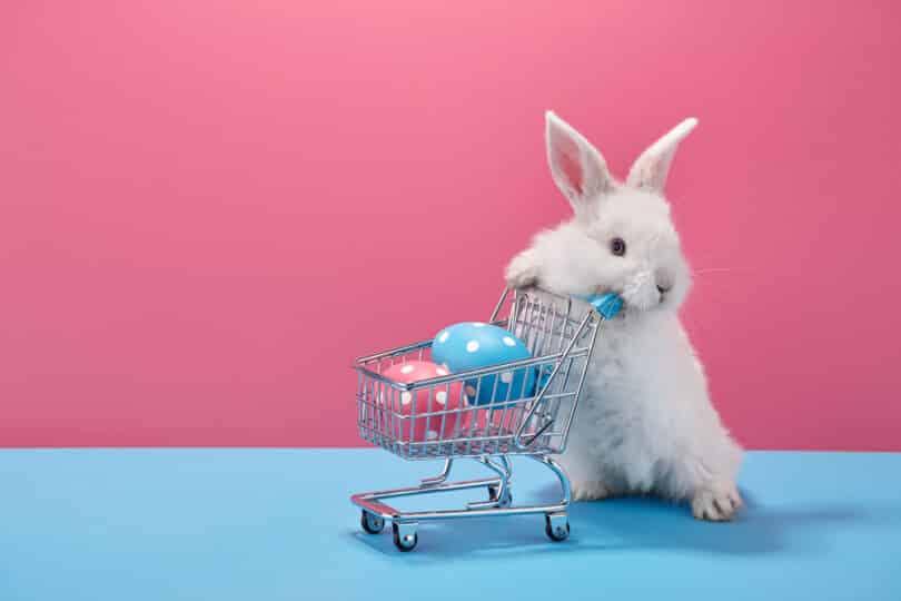 Um coelho empurrando um carrinho de mercado que contém ovos coloridos.