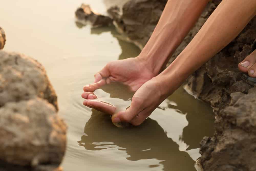 Mãos brancas em formato de concha pegando um pouco de água lamacenta dentro de uma grande poça de água com lama