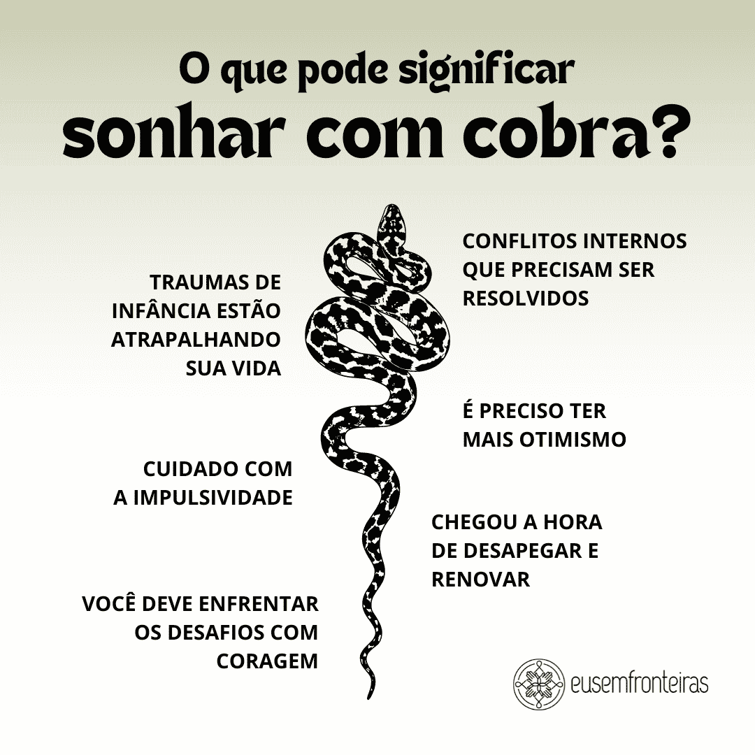 Sonhar com cobra: descubra o que isso significa!