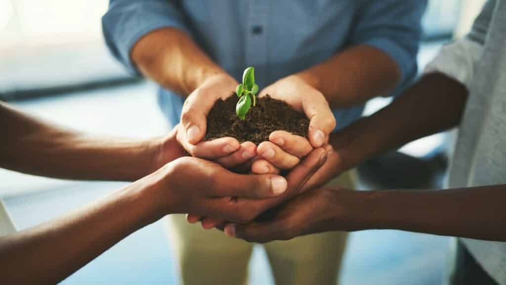 Pessoas segurando uma mudinha de planta.