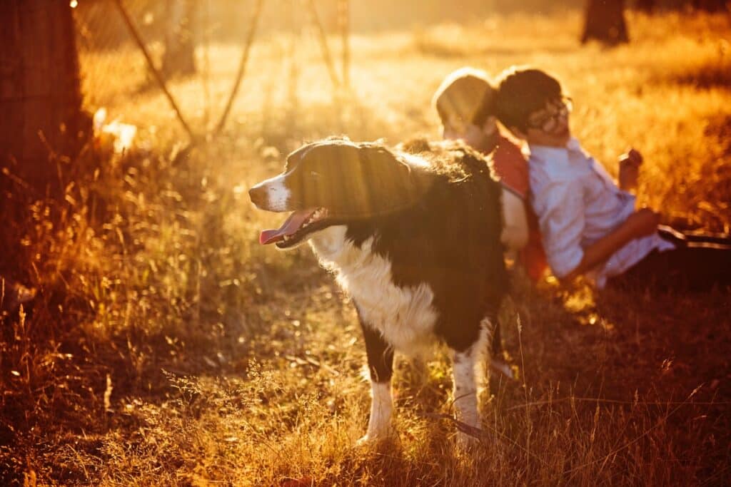 duas crianças brincando com um cachorro.