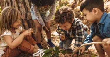 crianças brincando na floresta, procurando algo enterrado