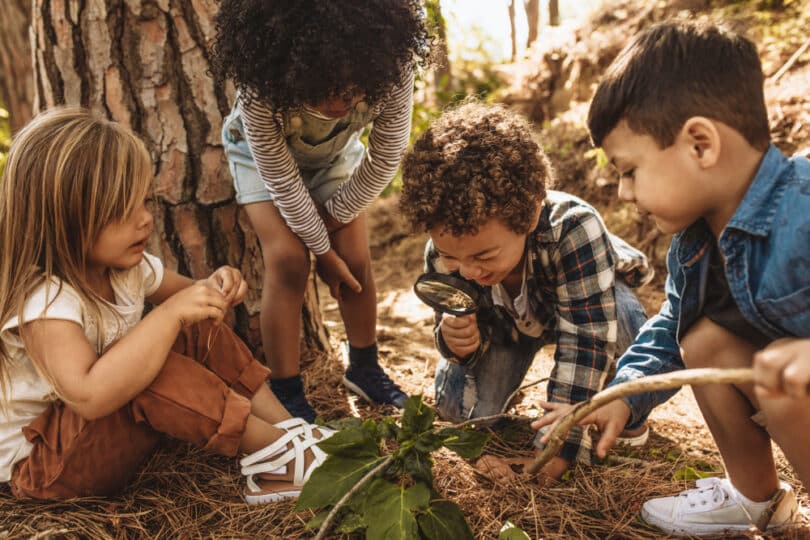 crianças brincando na floresta, procurando algo enterrado