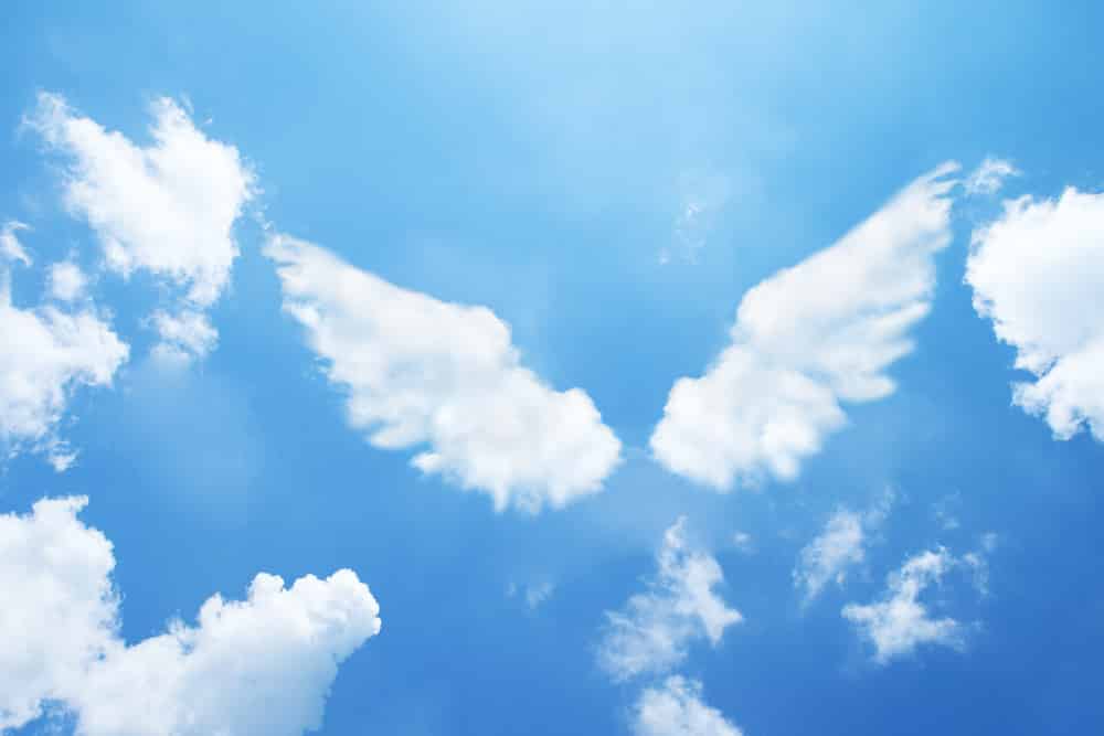 Nuvens no céu azul do dia formando a imagem de duas asas de anjo